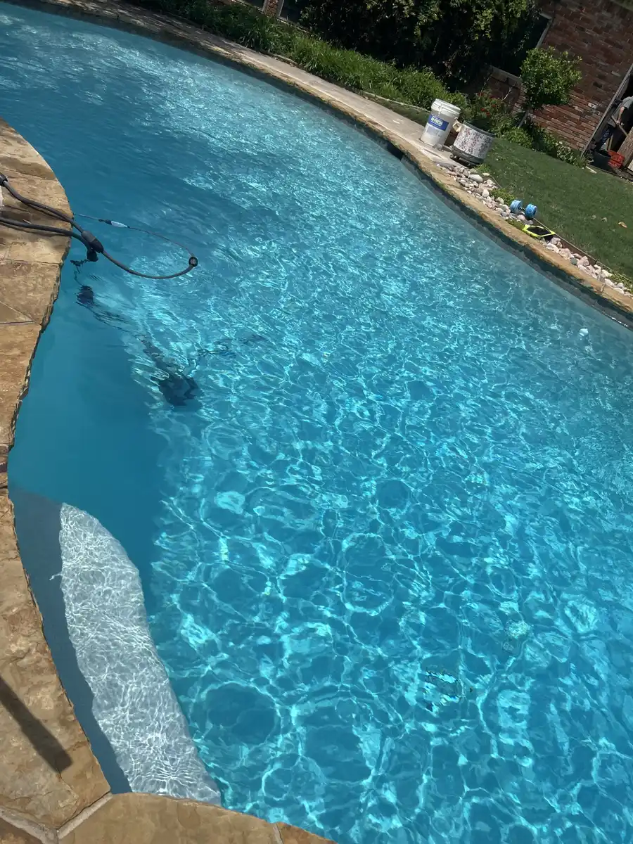 Sparkling freeform pool with a stone coping