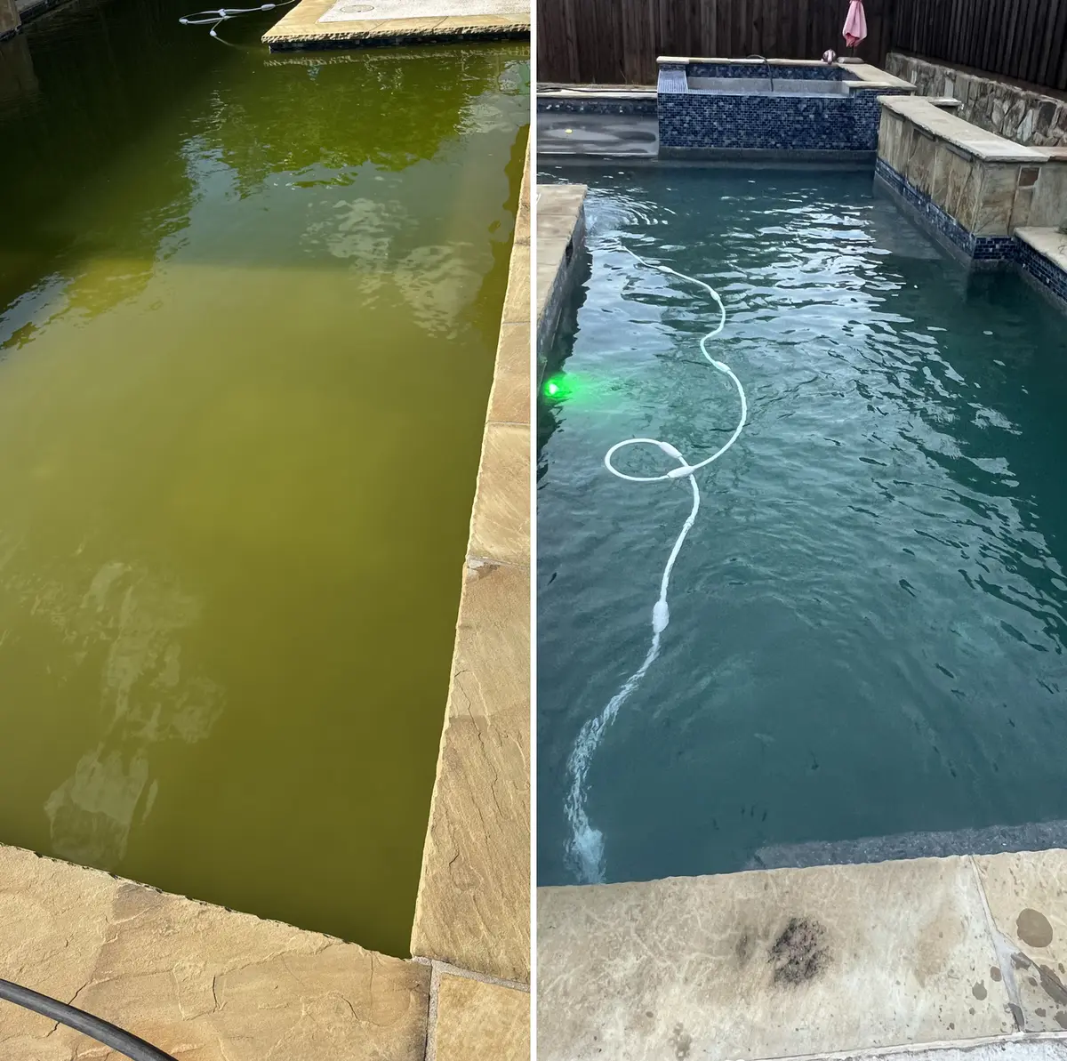 Before and after: green pool cleared to blue