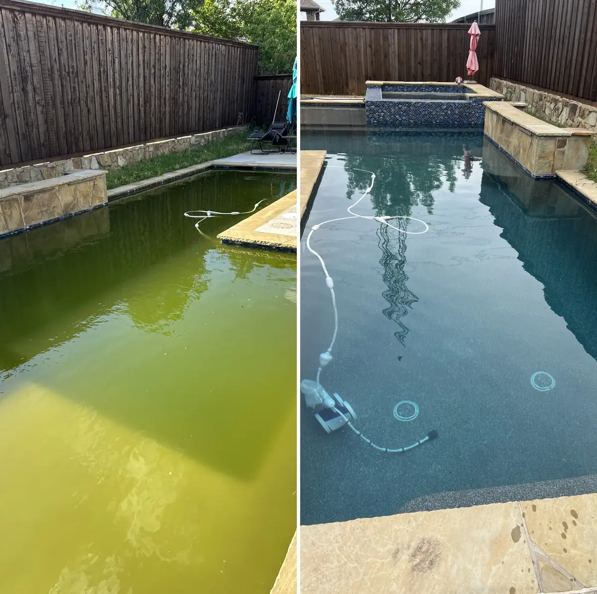 Before and after: green pool cleared to blue
