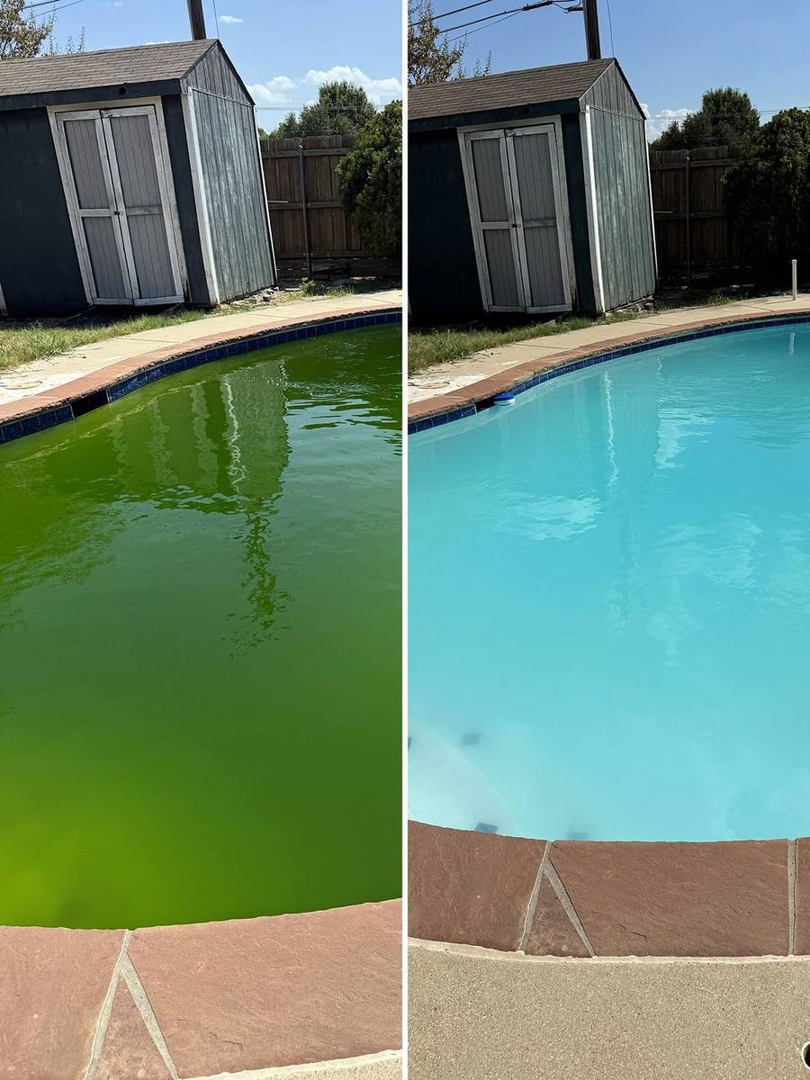 Before and after: swamp-green pool by a backyard shed rescued to clear turquoise water