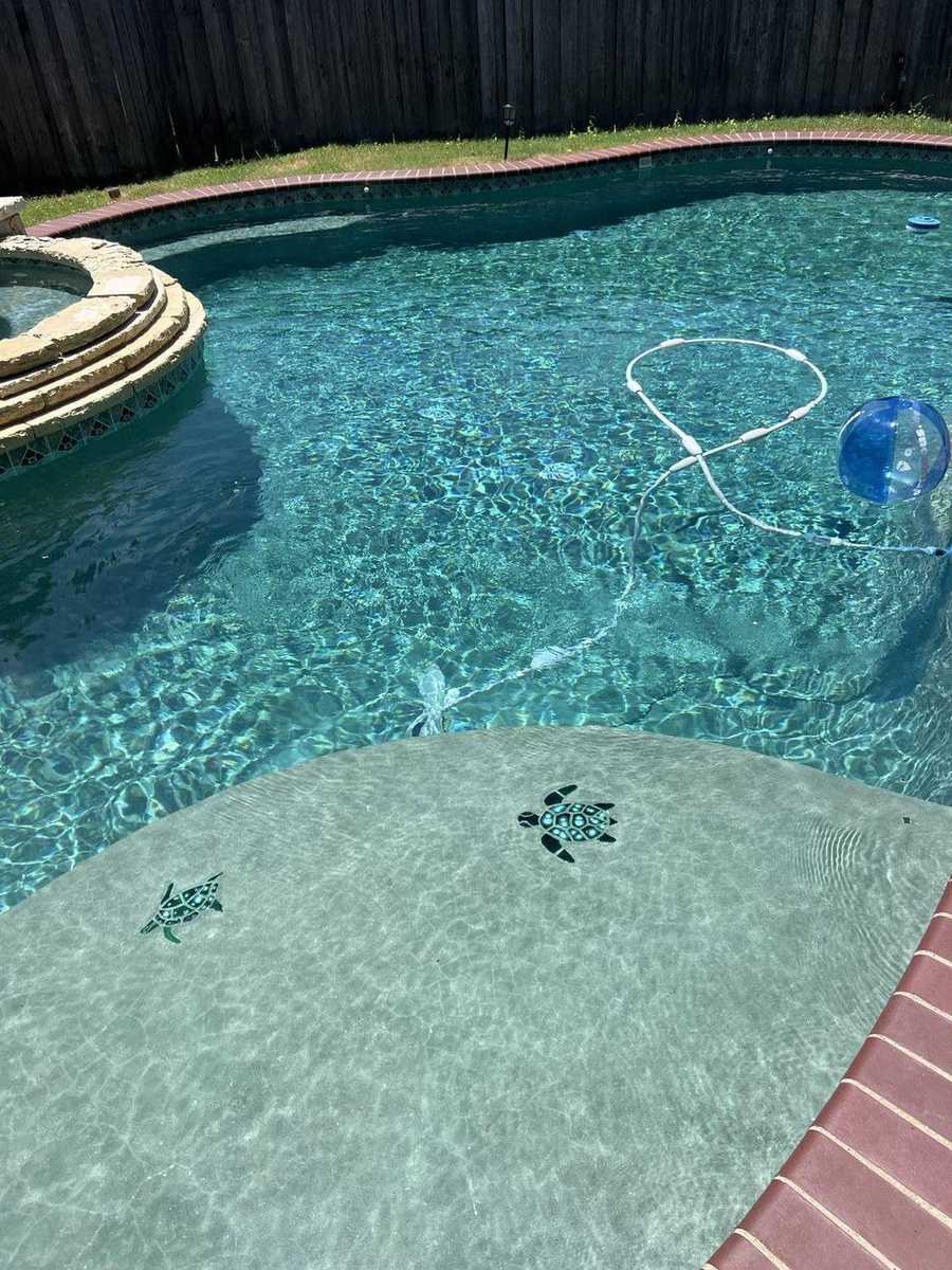 Crystal clear pool with mosaic sea turtles on the sunshelf