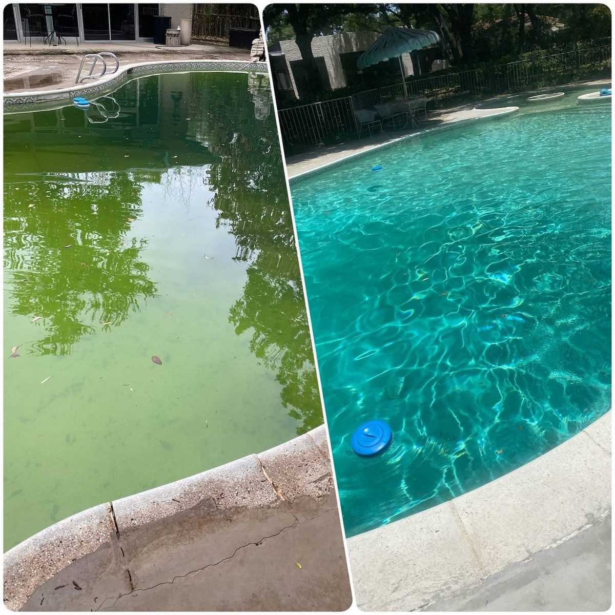 Before and after of green algae pool rescued to clear water