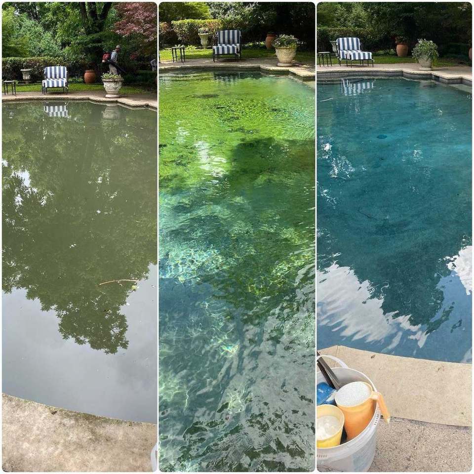 Green algae pool progress to crystal clear water