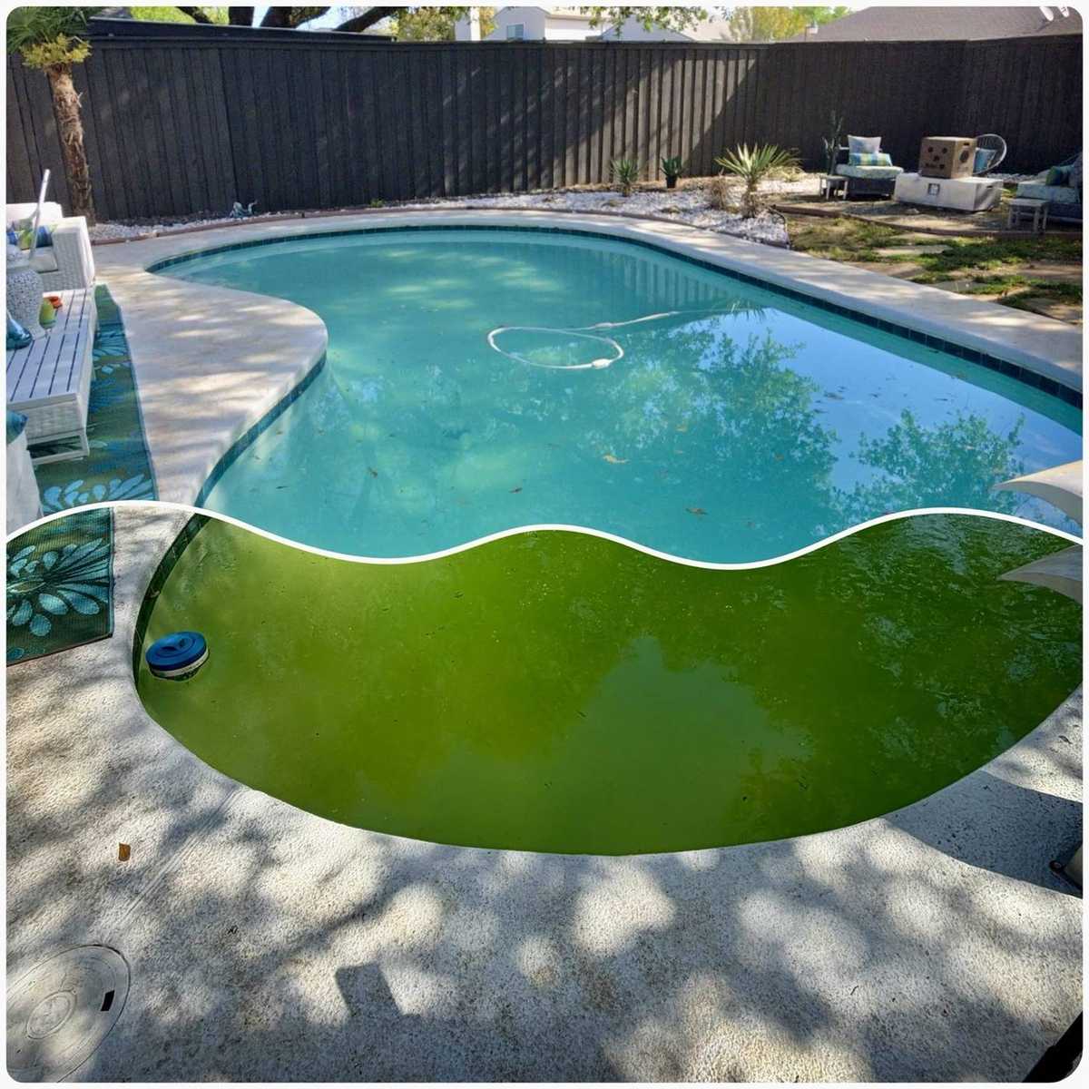 Before and after of green algae pool rescued to clear turquoise water