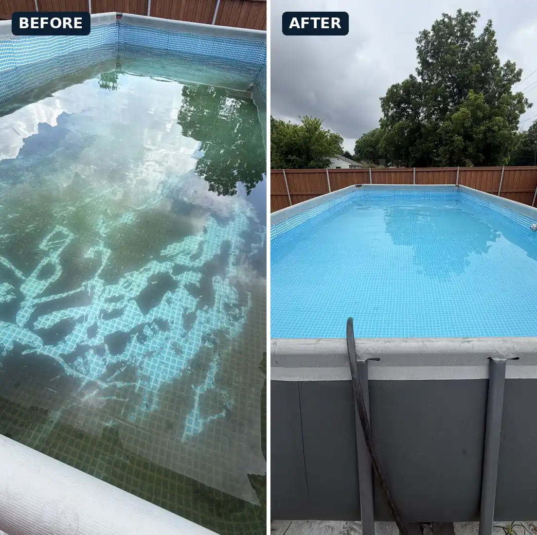 Before and after: green above-ground pool cleared to blue water